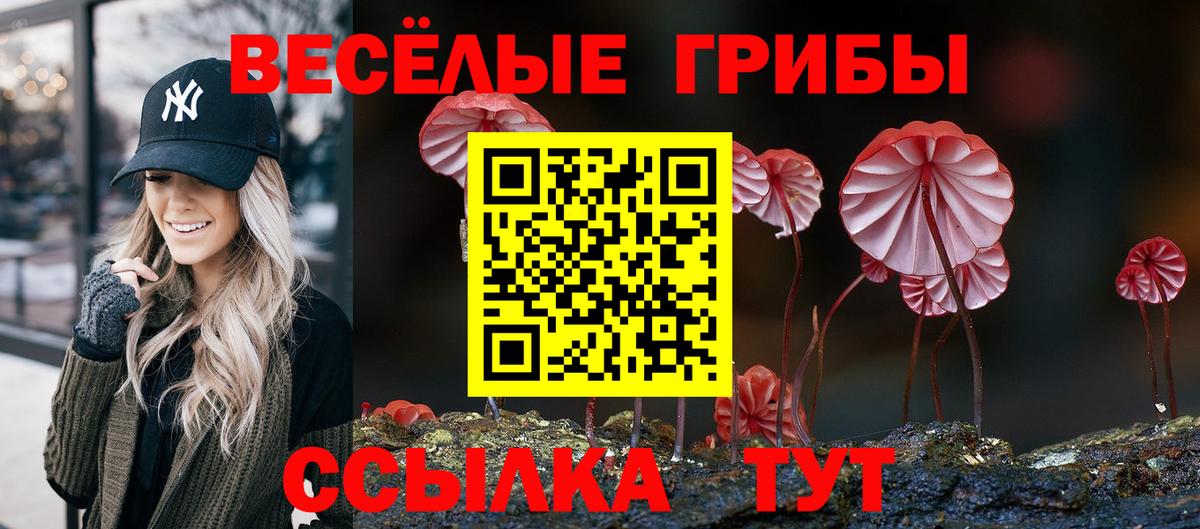 Галлюциногенные грибы Magic Shrooms  Вход с VPN  Усть-Джегута  где купить   Галлюциногенные грибы GOLDEN TEACHER 